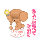 CUP POODLE プードルといろんなカップ（個別スタンプ：36）