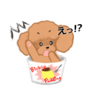 CUP POODLE プードルといろんなカップ（個別スタンプ：40）