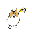 コーギー大豆くん！（個別スタンプ：2）