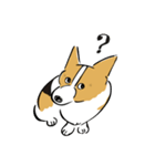 コーギー大豆くん！（個別スタンプ：4）