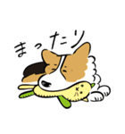 コーギー大豆くん！（個別スタンプ：14）