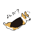 コーギー大豆くん！（個別スタンプ：17）