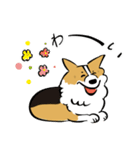 コーギー大豆くん！（個別スタンプ：19）