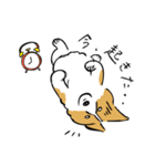 コーギー大豆くん！（個別スタンプ：21）