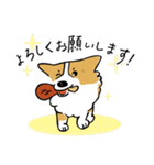 コーギー大豆くん！（個別スタンプ：25）