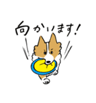 コーギー大豆くん！（個別スタンプ：26）