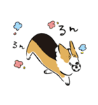 コーギー大豆くん！（個別スタンプ：30）