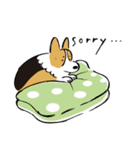 コーギー大豆くん！（個別スタンプ：35）