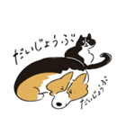 コーギー大豆くん！（個別スタンプ：37）