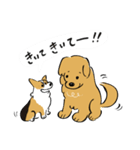 コーギー大豆くん！（個別スタンプ：38）