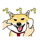 Counter Attack of Shiba Inu（個別スタンプ：1）