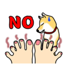 Counter Attack of Shiba Inu（個別スタンプ：6）