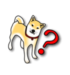 Counter Attack of Shiba Inu（個別スタンプ：8）