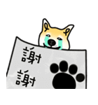 Counter Attack of Shiba Inu（個別スタンプ：12）