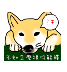 Counter Attack of Shiba Inu（個別スタンプ：13）