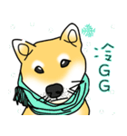 Counter Attack of Shiba Inu（個別スタンプ：18）