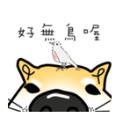 Counter Attack of Shiba Inu（個別スタンプ：21）