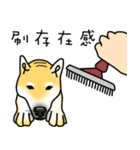 Counter Attack of Shiba Inu（個別スタンプ：33）