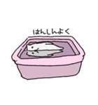 めたぼぐま（個別スタンプ：13）