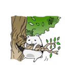 めたぼぐま（個別スタンプ：30）