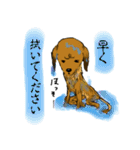 チーム -i.n.u-(普段の生活)（個別スタンプ：37）