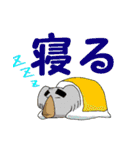 あるまじろさん（個別スタンプ：9）