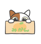 箱ねこ[みかん]（個別スタンプ：1）