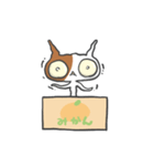 箱ねこ[みかん]（個別スタンプ：3）