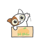 箱ねこ[みかん]（個別スタンプ：4）