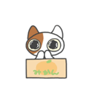 箱ねこ[みかん]（個別スタンプ：11）