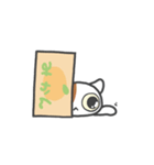 箱ねこ[みかん]（個別スタンプ：13）