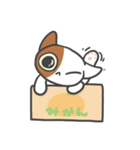 箱ねこ[みかん]（個別スタンプ：17）