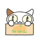 箱ねこ[みかん]（個別スタンプ：18）