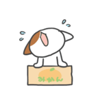 箱ねこ[みかん]（個別スタンプ：25）