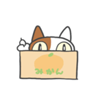 箱ねこ[みかん]（個別スタンプ：26）