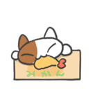 箱ねこ[みかん]（個別スタンプ：30）