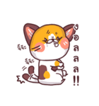 Mon Thong - The hilarious Cat（個別スタンプ：3）