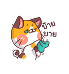 Mon Thong - The hilarious Cat（個別スタンプ：11）