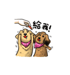BowBow ＆ MeiMei（個別スタンプ：6）