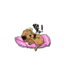 BowBow ＆ MeiMei（個別スタンプ：9）