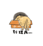 BowBow ＆ MeiMei（個別スタンプ：26）