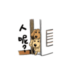 BowBow ＆ MeiMei（個別スタンプ：34）