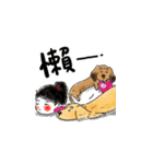 BowBow ＆ MeiMei（個別スタンプ：40）
