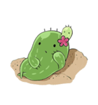 Cactus cactus（個別スタンプ：4）