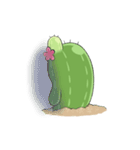 Cactus cactus（個別スタンプ：7）