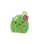 Cactus cactus（個別スタンプ：12）