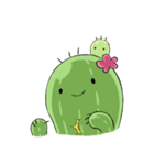 Cactus cactus（個別スタンプ：20）