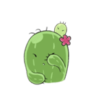 Cactus cactus（個別スタンプ：21）