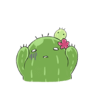 Cactus cactus（個別スタンプ：24）