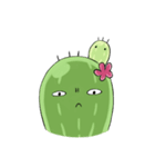 Cactus cactus（個別スタンプ：34）